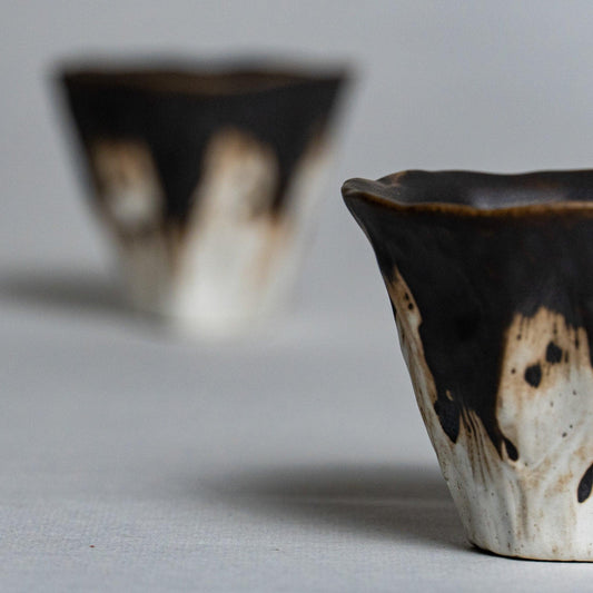Japanese Ceramics: A Living Tradition of Clay, Fire, and Soul