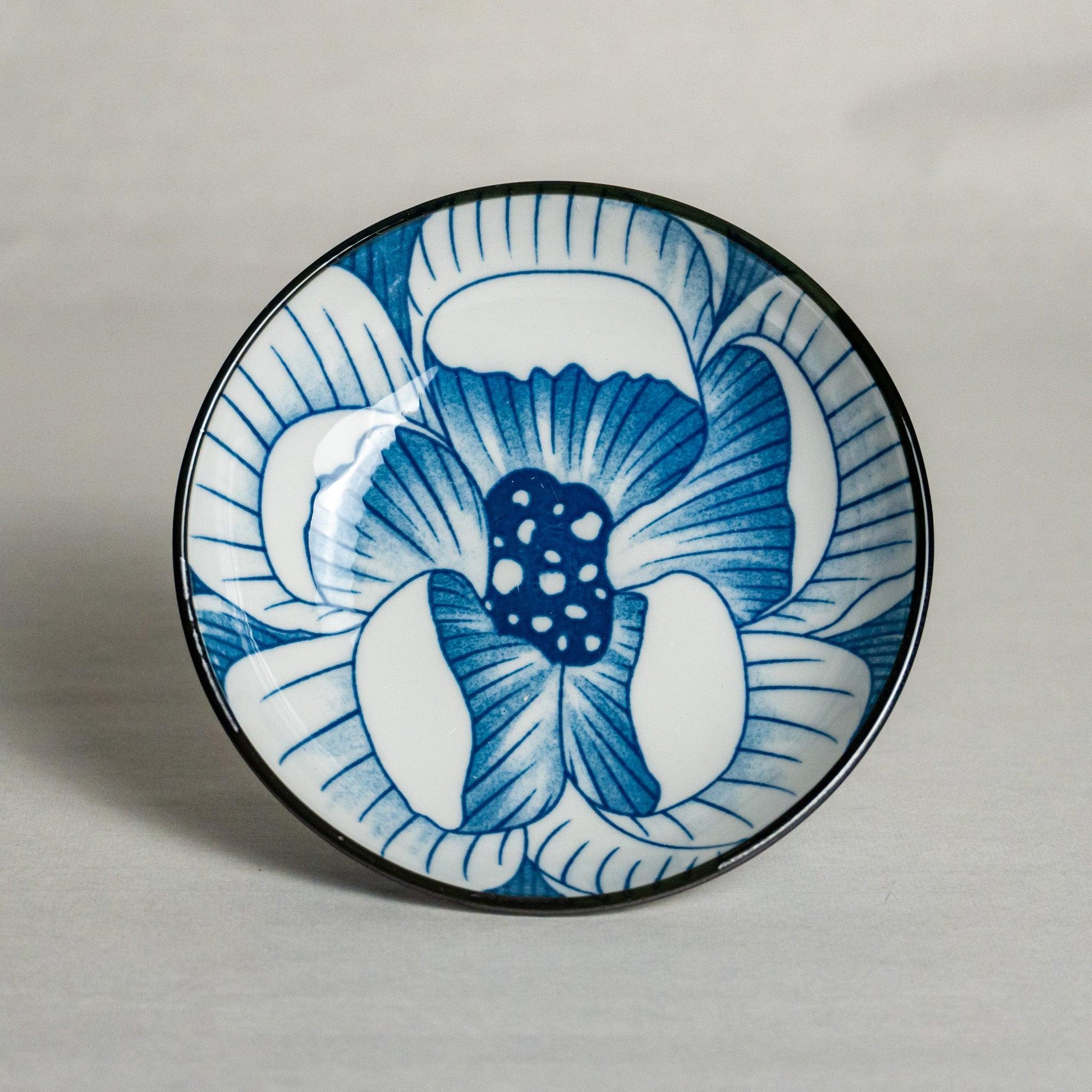 lotus bloom 荷花