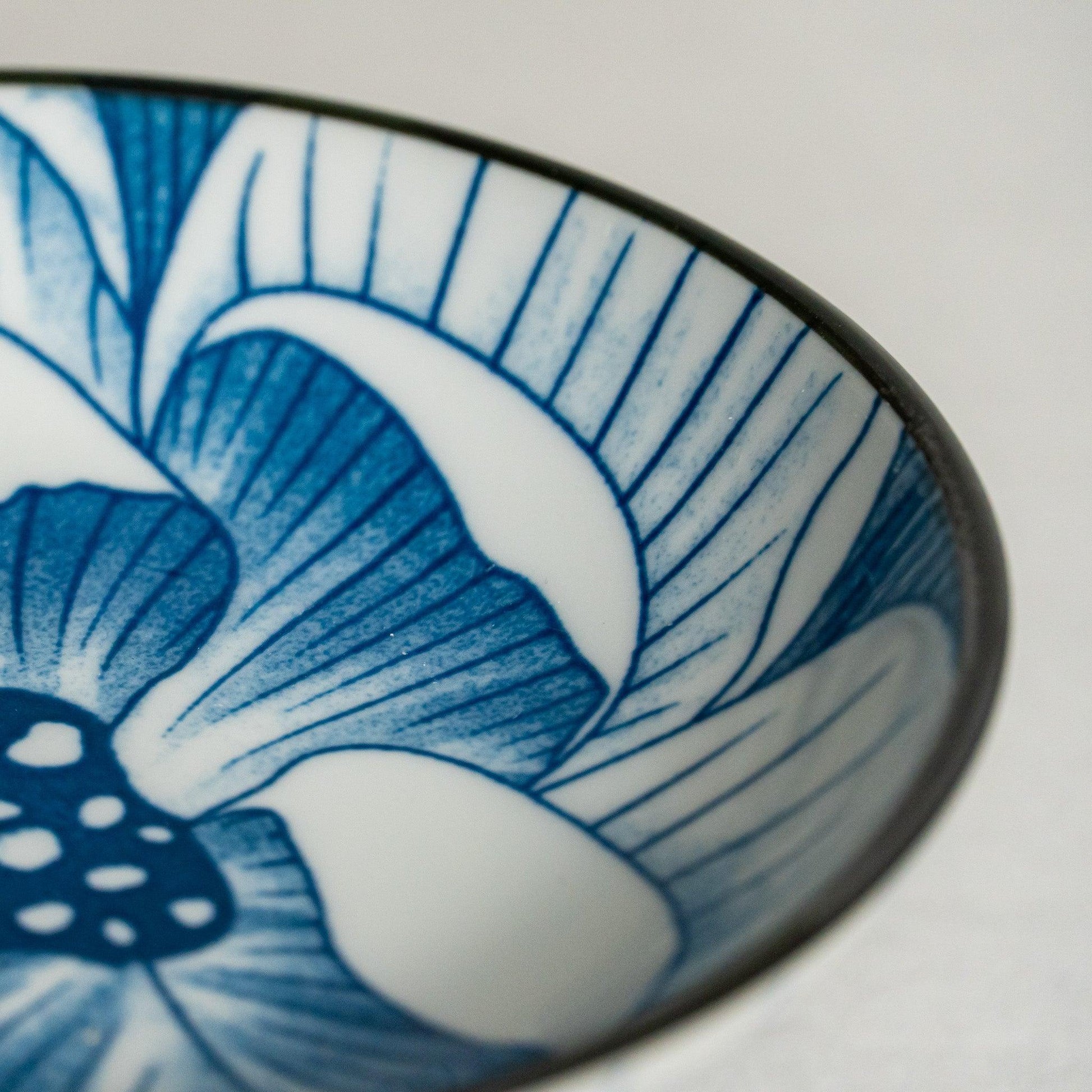 lotus bloom 荷花